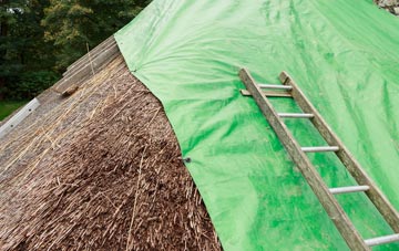 maintaining Russland thatch